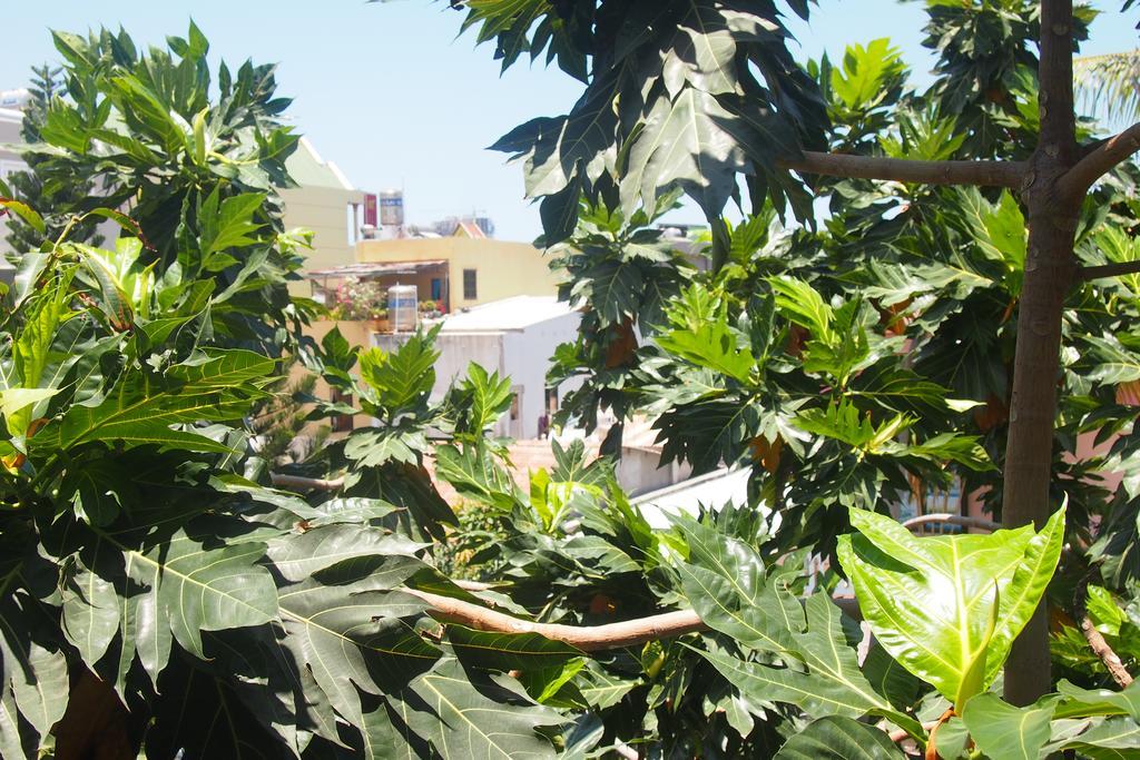 Gecko Hostel (Adults Only) Vũng Tàu Exteriér fotografie